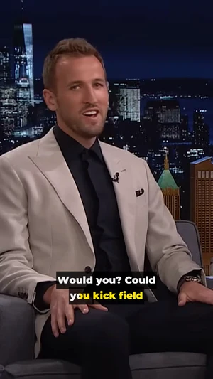 highlight box subtitle style